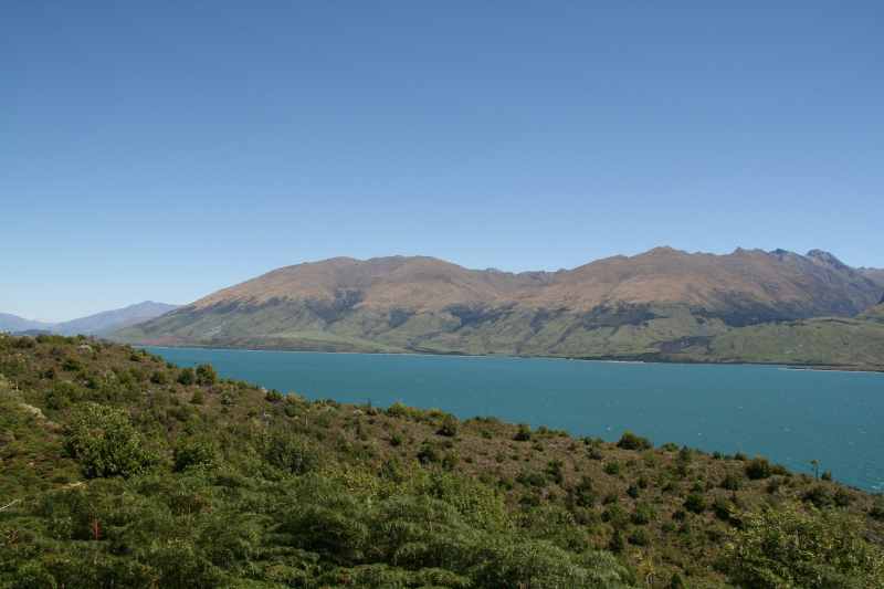 Nieuw-Zeeland 2011 - 1588